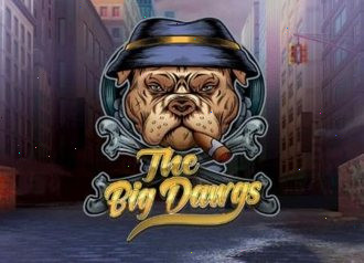 Big Dawgs Dog house